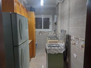 Sīdī Sālimمصر الجديدة的一间带冰箱和水槽的小厨房