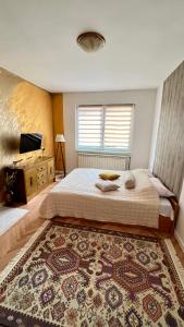 萨拉热窝波斯尼亚豪斯宾馆的一间卧室配有一张床、一台电视和一张地毯。