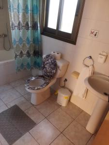 帕福斯anastasia holiday apartments的一间带卫生间和水槽的浴室