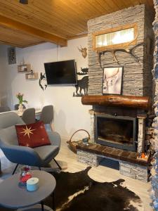 ŞotrileChalet Husky的客厅设有壁炉和电视。