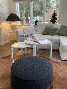 SjöboNordic Relax House - WoodHouse的带沙发和咖啡桌的客厅