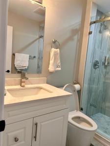 布兰普顿SUITE A 2 Bedroom Apartment的一间带水槽、卫生间和淋浴的浴室
