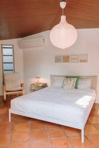 圣萨尔瓦多RN Villa - San Benito的卧室配有白色的床和吊灯