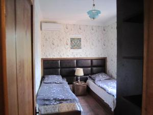 第比利斯Villa in Tbilisi的一间小卧室,配有两张床和一盏灯