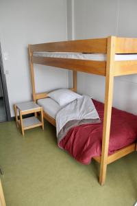 科尔马AUBERGE DE JEUNESSE的一间卧室配有带梯子的双层床