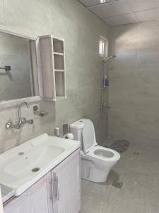 Ad DimnahHeritige Inn Jordan的浴室配有卫生间、盥洗盆和淋浴。