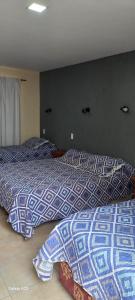特尔马斯德里奥翁多Alemar Termas Hotel的卧室内两张并排的床