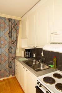 图尔库2-Bedroom Apartment in Heart of City Center的厨房配有白色橱柜和水槽