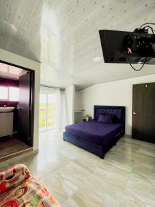 TauramenaHotel Campestre Morichal的一间卧室设有一张床,天花板上配有电视。
