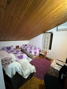 波德戈里察Airport home Radinovic的紫色枕头间内的两张床