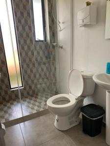 瓜塔维塔Caminos del dorado sede apartamento的一间带卫生间和淋浴的浴室