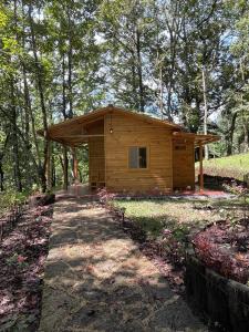 San Juan ChamelcoHotel en Finca Chijul, reserva natural privada的森林中间的小木屋