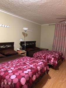 多伦多Glaive Home的一间卧室配有两张带粉红色床罩的床