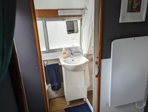 切姆Unique Boat in Chelmsford city的一间带水槽和窗户的小浴室