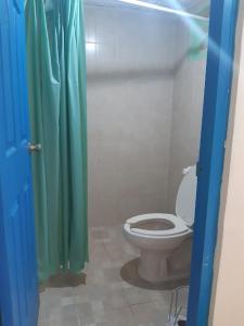 坎昆吉安大厦住宿加早餐酒店的浴室设有卫生间和绿色淋浴帘。