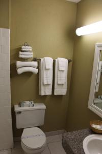 圣马特奥市Inn at Bayshore的浴室配有卫生间、水槽和毛巾。