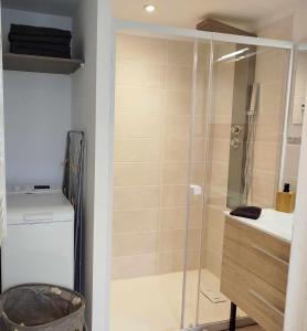罗纳河畔的图尔农Le studio du Doux的浴室里设有玻璃门淋浴