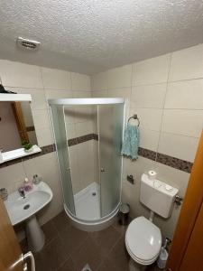 TrstenikApartmani Ušće的带淋浴、卫生间和盥洗盆的浴室