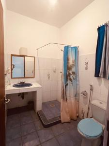 阿鲁特伽马Muthumuni Ayurveda River Resort的带淋浴、盥洗盆和卫生间的浴室