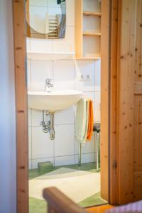皮恩山口附近施皮塔尔Singerskogel的一间带水槽和镜子的浴室