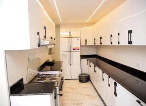 亚的斯亚贝巴Homestead Realestate的厨房配有白色橱柜和黑色台面