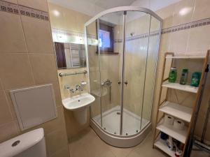 班斯科VV Apartment Bansko的带淋浴和盥洗盆的浴室