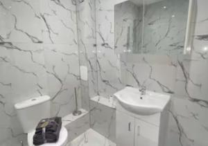 弗特威克Flitwick Luxury Apartment的白色的浴室设有水槽和卫生间。
