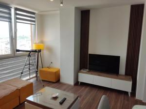 斯科普里Sky view luxury Center Skopje apartments的一间带电视和沙发的客厅