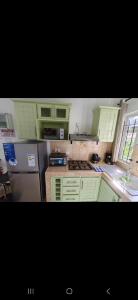 拉戈莱特塔姆公寓的厨房配有绿色橱柜和不锈钢冰箱