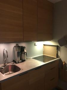 Søgne维尔菲特尼赫乐桑迪公寓的厨房配有水槽和台面