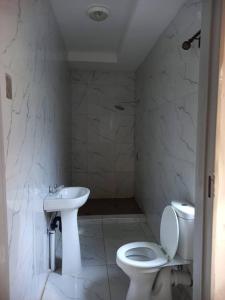 MasvingoLuxury 3 Bedroom Self Catering Apartment- Masvingo的白色的浴室设有卫生间和水槽。