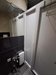 斯科普里Alpi Hostel的浴室配有淋浴间和卫生间。