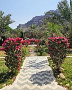 Al ‘UyūnBeit Al-Madina的种有粉红色花卉和棕榈树的花园,以及山