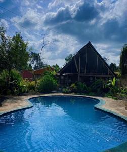 阿鲁沙Cottage in Arusha-Wanderful Escape的一座大蓝色游泳池,位于房子前