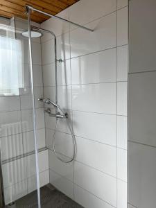 康斯坦茨Casa Mika的浴室里设有玻璃门淋浴