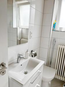 康斯坦茨Casa Mika的白色的浴室设有水槽和卫生间。