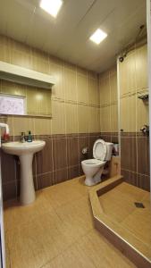 第比利斯Hotel Antalia的一间带卫生间和水槽的浴室