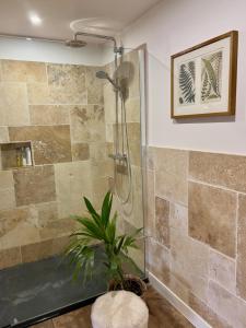 丰特夫罗拉拜Studio la Grange的一间带淋浴的浴室,里面装有植物