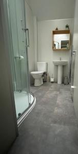 爱丁堡达尔莫尔旅馆的一间带玻璃淋浴和卫生间的浴室