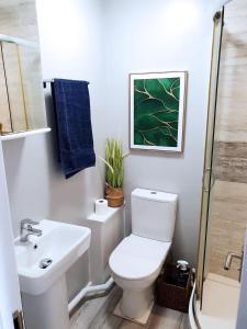 普里茅斯4Alma St的白色的浴室设有卫生间和水槽。