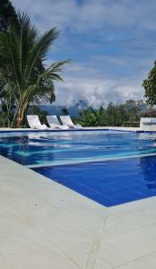金巴亚FINCA HOTEL LA BONITA BY LA MACORINA的一座拥有蓝色海水和棕榈树的游泳池