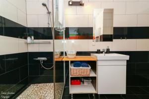霍茹夫Apartament Działkowa przy Parku的带淋浴和盥洗盆的浴室