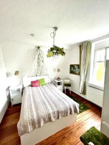 Klingbergromantische Ferienwohnung Sachsenhof 2的一间卧室配有一张床和一个吊灯