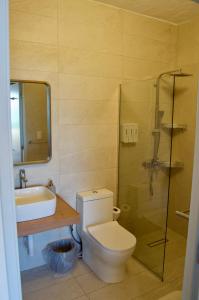 蓬塔露奇亚Blue Island Punta Rucia的浴室配有卫生间、盥洗盆和淋浴。