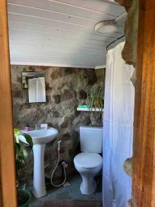塔夸伦博Quincho Nativo的一间带卫生间和水槽的浴室