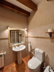 塞哥维亚Casa Rural Abuelo Regino的一间带水槽、卫生间和镜子的浴室