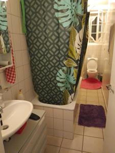 拉绍德封JIMOBA PLACE的带淋浴帘和卫生间的浴室