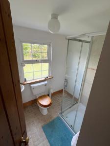 凯尔西温Seaview House Reenard South的带淋浴和卫生间的浴室以及窗户。
