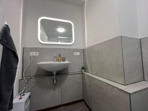 弗莱堡Simplex Apartments Am Schwabentor的一间带水槽和窗户的小浴室