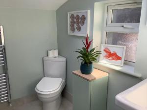 HubyTime House Cottage的一间带卫生间和桌子上植物的浴室